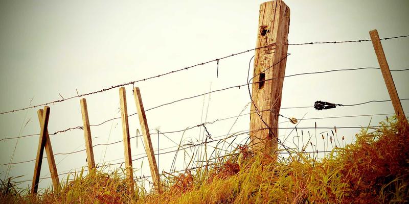 智能决策选型避雷：这几个坑千万别踩